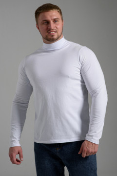 Водолазка 14439/3