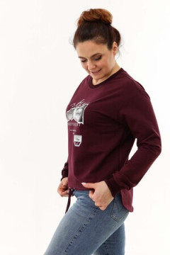 Свитшот 50519