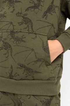 Толстовка 123406