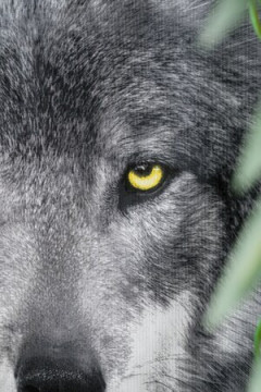 Полотенце Акела