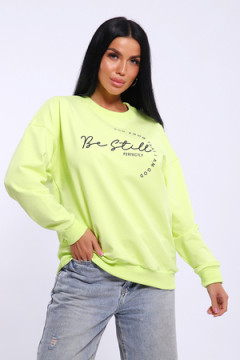 Толстовка 80039