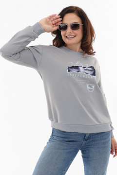 Свитшот 88515