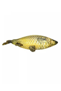 Игрушка-антистресс Рыба мечты. Карась