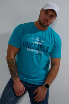 Футболка мужская 8503/1