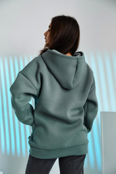 Толстовка 67090