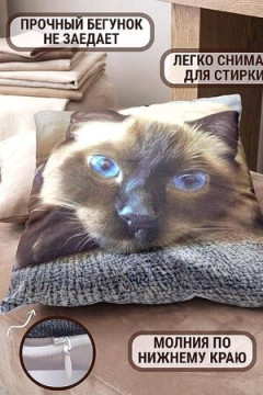Наволочка декоративная 3D Кот сиамский