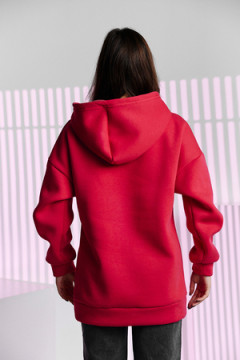 Толстовка 67090