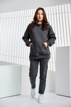 Толстовка 67090