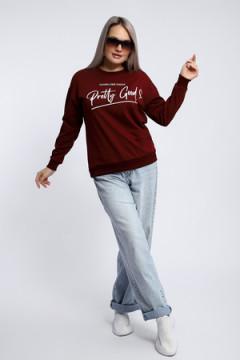 Толстовка 80048