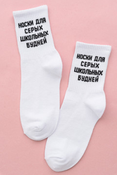 Носки стандарт Школьные будни (набор 2 пары)