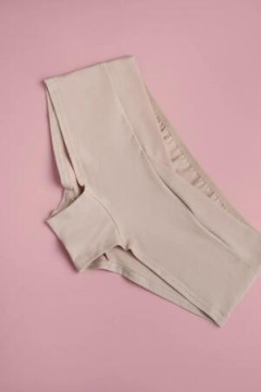 Трусы WSHBr/0219 набор