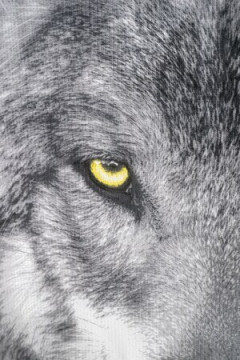 Полотенце Акела