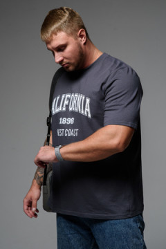 Футболка мужская 8503/1