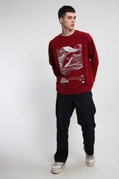 Лонгслив унисекс с принтом Карта ЛГ-01