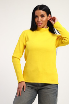 Водолазка 74721