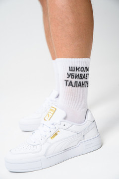 Носки мужские Талант (набор 2 пары)