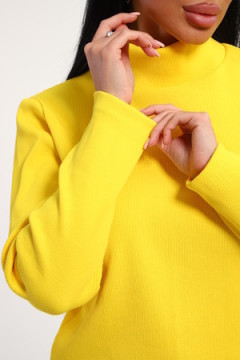 Водолазка 74721