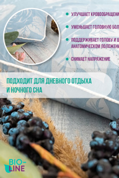 Подушка декоративная Bio-Line с лузгой гречихи PG40. 60