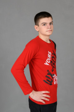 Лонгслив 83017