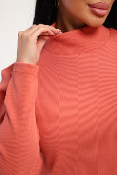 Водолазка 74721