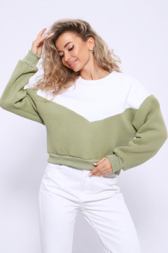 Толстовка 21011