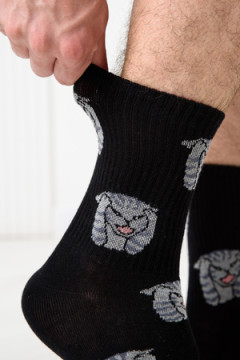 Носки стандарт Драматик кот (набор 2 пары)