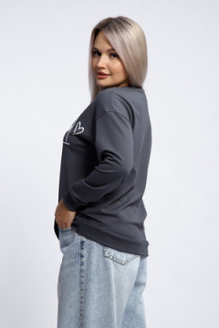 Толстовка 80048