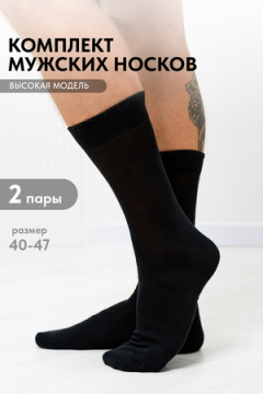 Носки стандарт Беркут (набор 2 пары)