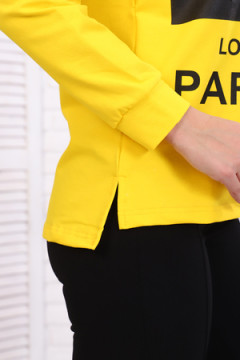 Толстовка Т089п