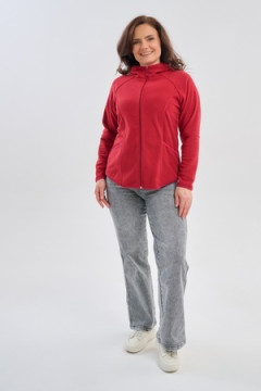 Толстовка 75011