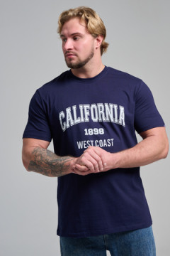 Футболка мужская 8503/1