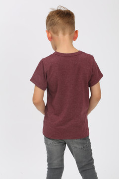 Детская футболка Маленькая звезда бордо арт. ФУ/М-звезда-бордо