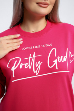 Толстовка 80048