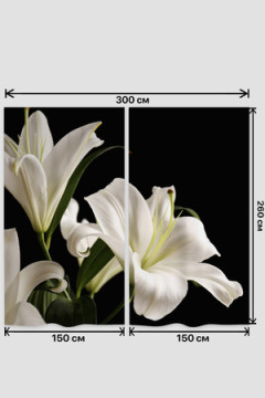 Фотошторы 10837