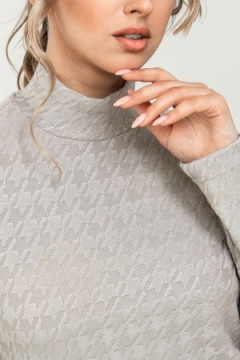 Водолазка 62023