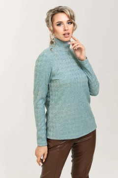 Водолазка 62023