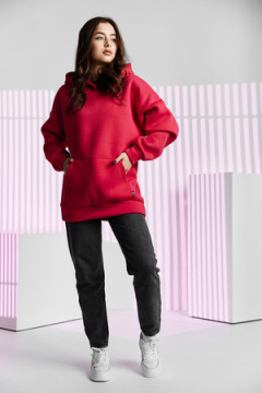 Толстовка 67090