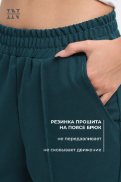 Брюки Амина", 44-58, БР 1-17