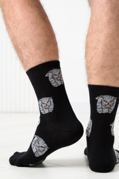 Носки стандарт Драматик кот (набор 2 пары)