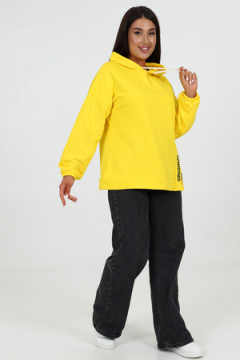 Толстовка 52352