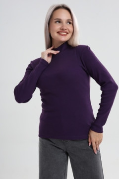 Водолазка ВЖ0059