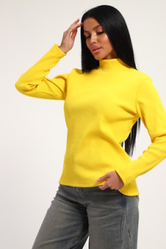 Водолазка 74721