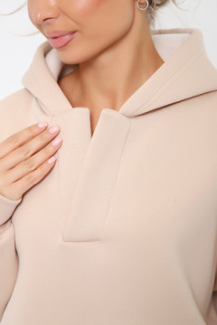 Толстовка 21036