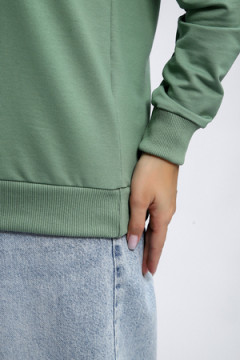 Толстовка 80048