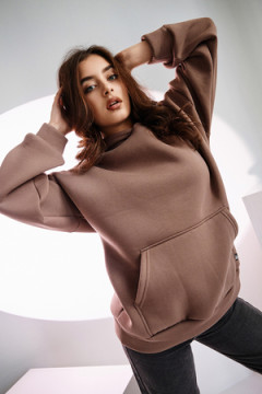 Толстовка 67090