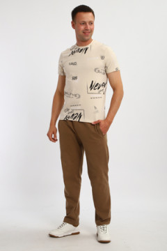 Футболка мужская 066
