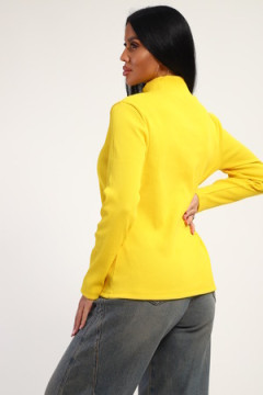 Водолазка 74721