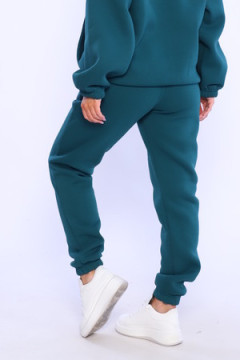 Брюки джоггеры футер трехнитка начес унисекс, Арт. Бр-1045
