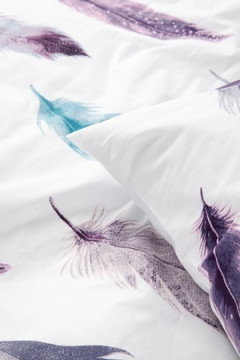 КПБ Стилус поплин