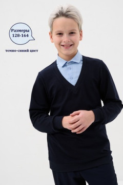 Обманка школа длинный рукав